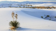 Sand new mexico National white sands