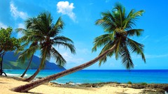 Sand palm trees blue skies sea shorelines