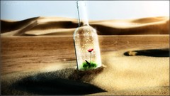 Sand roses bottles red rose digital art artistic