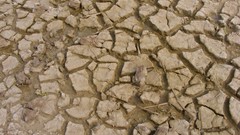 Sand scratches cracks