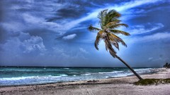 Sand Sea clouds Beaches skyscapes