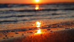 Sand Sea nature sun bubbles Beaches bokeh sunlight sea 