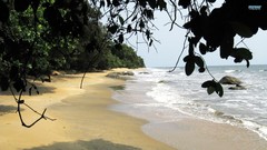 Sand Sea nature Trees Beaches