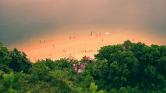 Sand Sea nature Trees Beaches tilt-shift