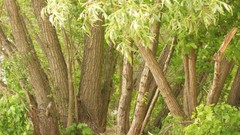 Sand Sea nature water Beaches skyscapes