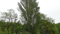 Sand Sea nature water Beaches skyscapes