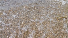 Sand Sea nature water spiders skyscapes