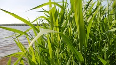 Sand Sea nature water spiders skyscapes