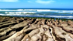 Sand Sea stones nature ocean coast moss horizon Taiwan sea 