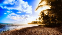 Sand Sea sun clouds palm trees Beaches skyscapes