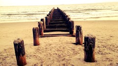 Sand Sea Wood Beaches waves paths