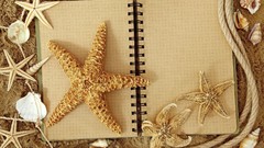Sand shells starfish composition Ropes notebook paper