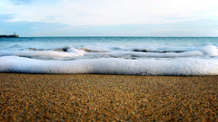 Sand shore worms eye