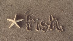 Sand starfish Beaches