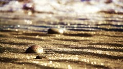 Sand stones nature Beaches bokeh