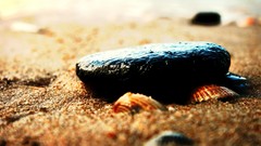 Sand stones nature seashells depth of field