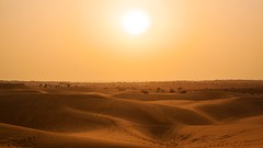 Sand sunny deserts