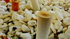 Sand Trees balls ice game juice Adidas Cigarettes colors 