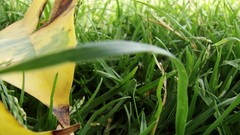 Sand Trees balls ice game juice Adidas Cigarettes colors 