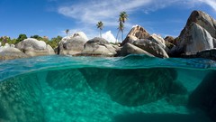Sand Trees water underwater rocks