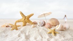 Sand Umbrellas starfish Beaches seashells depth of field