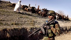 Sand War Guns sheep dust fight soldiers military patrol m4 