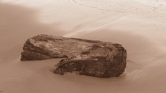 Sand water blue ocean Wood Beaches skyscapes