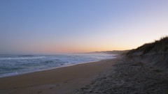 Sand water blue ocean Wood Beaches skyscapes