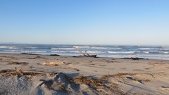 Sand water blue ocean Wood Beaches skyscapes