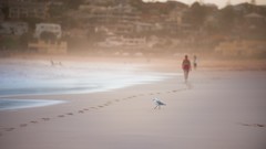Sand water ocean scene Beaches