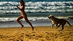 Sand waves Animals Dogs