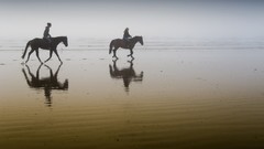 Sand woman Horses lakes
