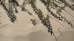 Sand would You guys!