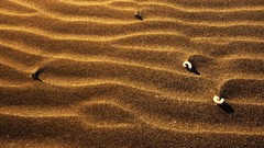 Sandy deserts multiscreen