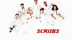 Sarah Chalke zach braff