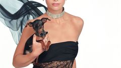 Sarah michelle gellar