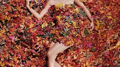 Sarah michelle gellar