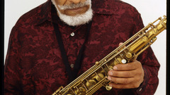 Saxophones white background musicians