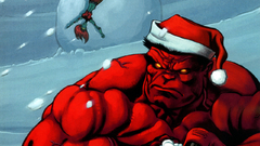 Scandog Christmas and New