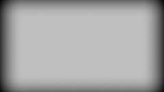 Scanline white wp Who?