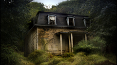 Scary woods forrest lonely