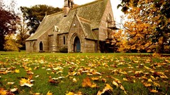 Scene Plants Rural countryside architecture British churches 