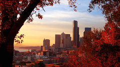 Scenery City Seattle red