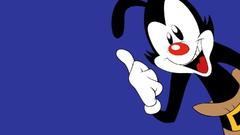 School Animaniacs animaniac yacko