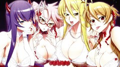 School blondes anime girls highschool of the dead busujima 