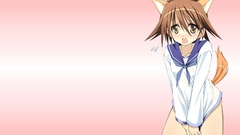 School uniforms animal ears strike witches miyafuji yoshika 