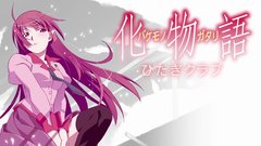 School uniforms bakemonogatari senjougahara