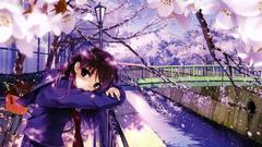 School uniforms misaki kurehito