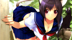School uniforms nekomimi animal