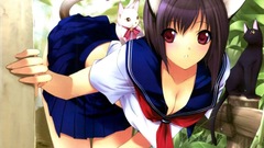 School uniforms nekomimi animal